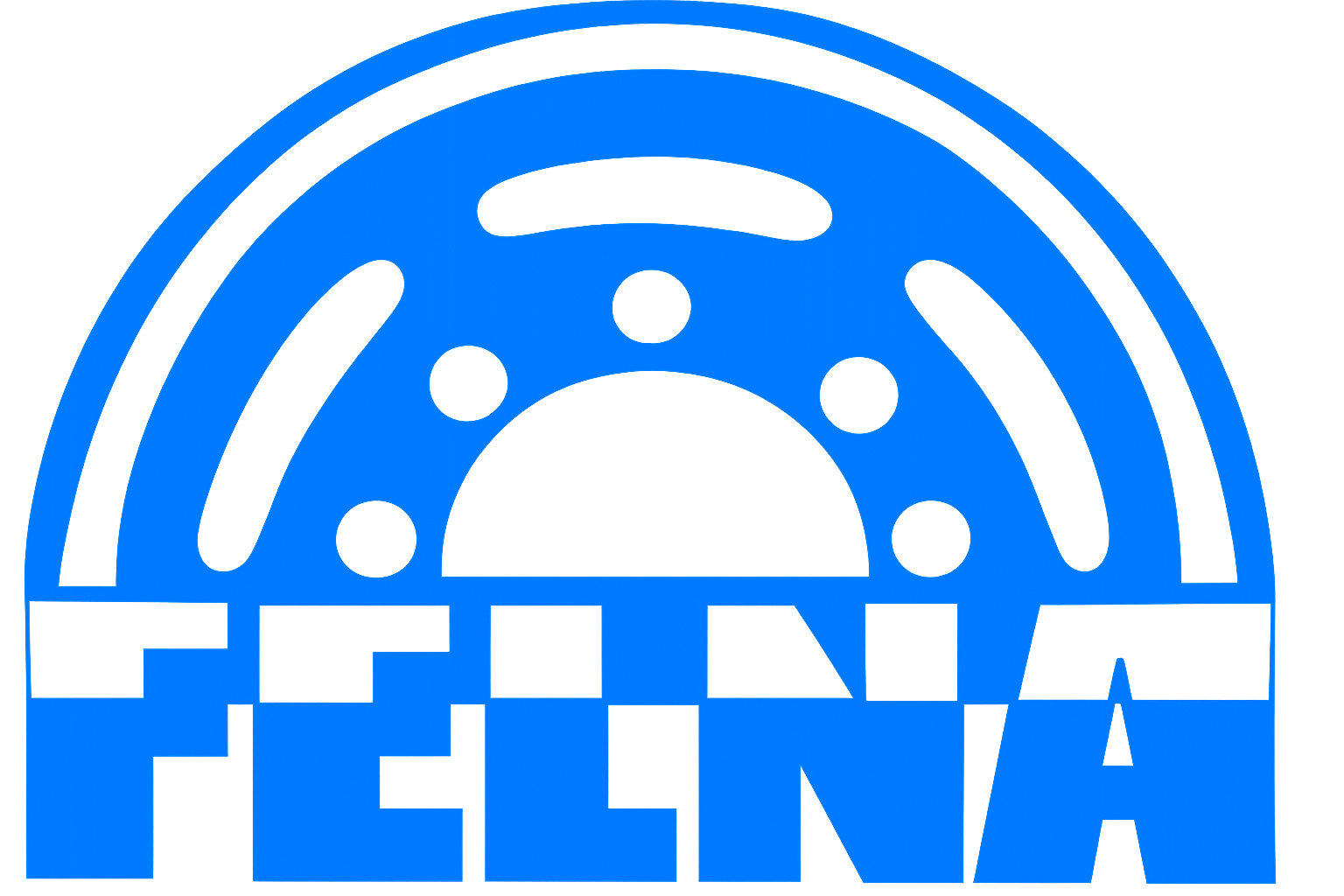 Felna logo